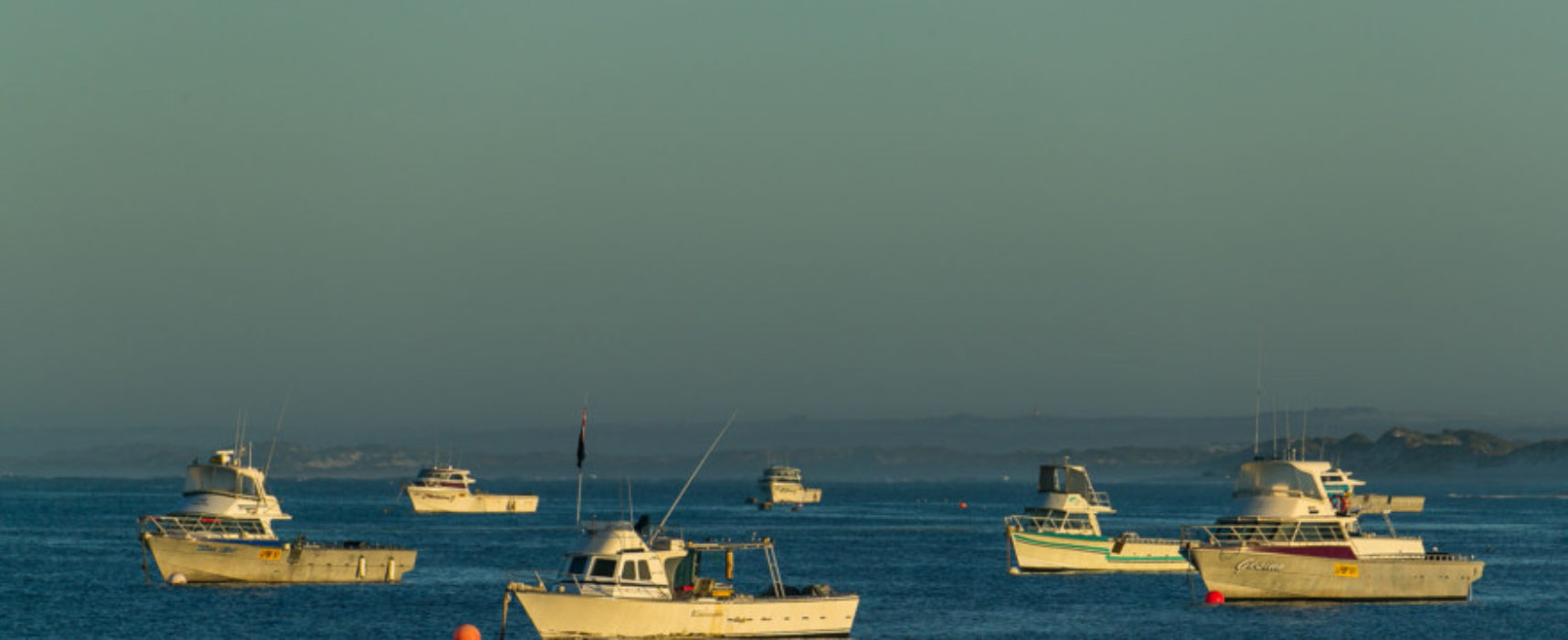 DANCE OF THE SUGARPLUM CRAYBOATS