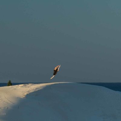 STYLE AND GRACE IN LANCELIN