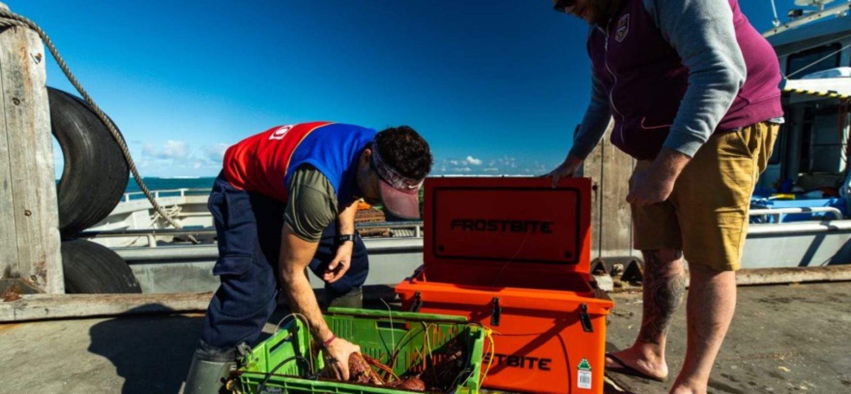 Live Lobsters From the Boats