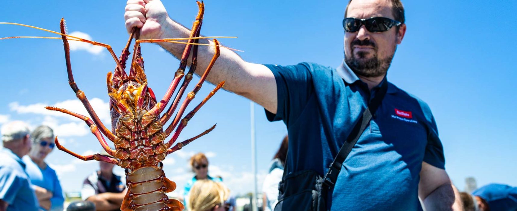 LIVE CRAYFISH IN LANCELIN