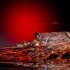 lobsters_product_3 lobsters_product_3