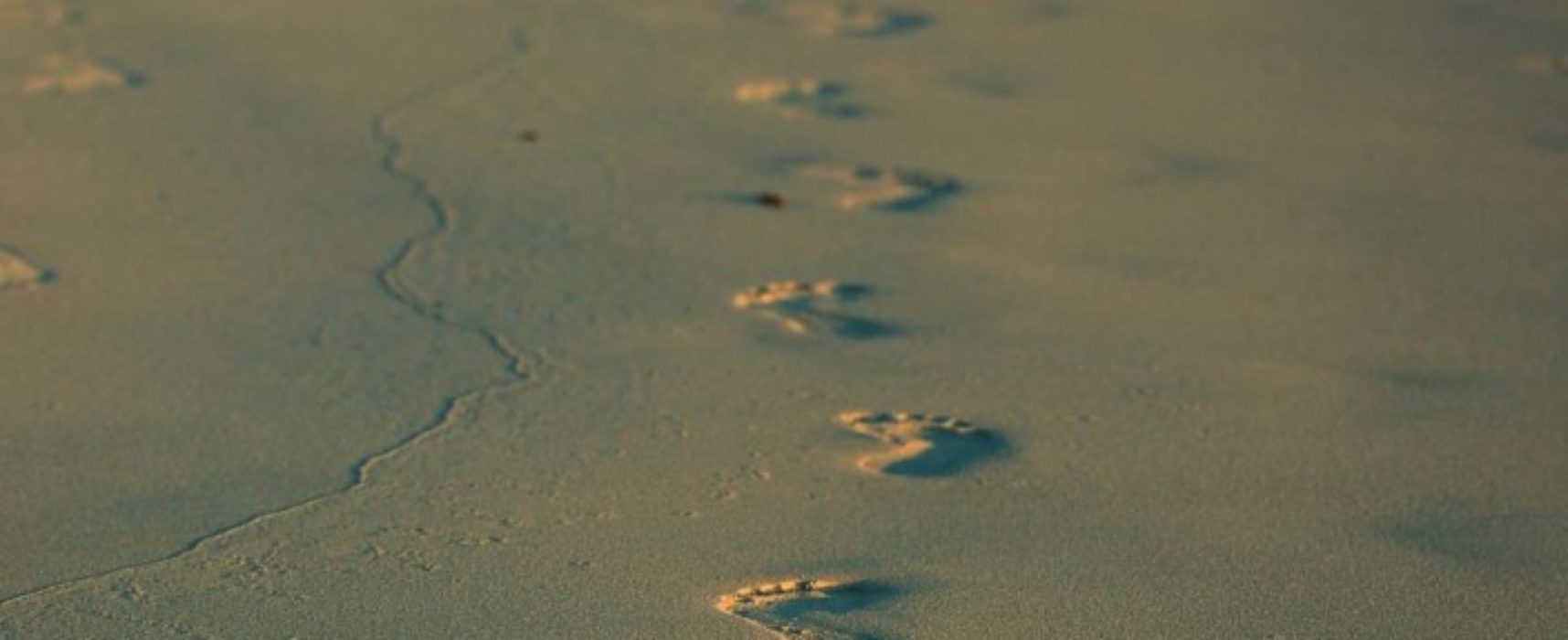 LIKE LONG WALKS ON THE BEACH?