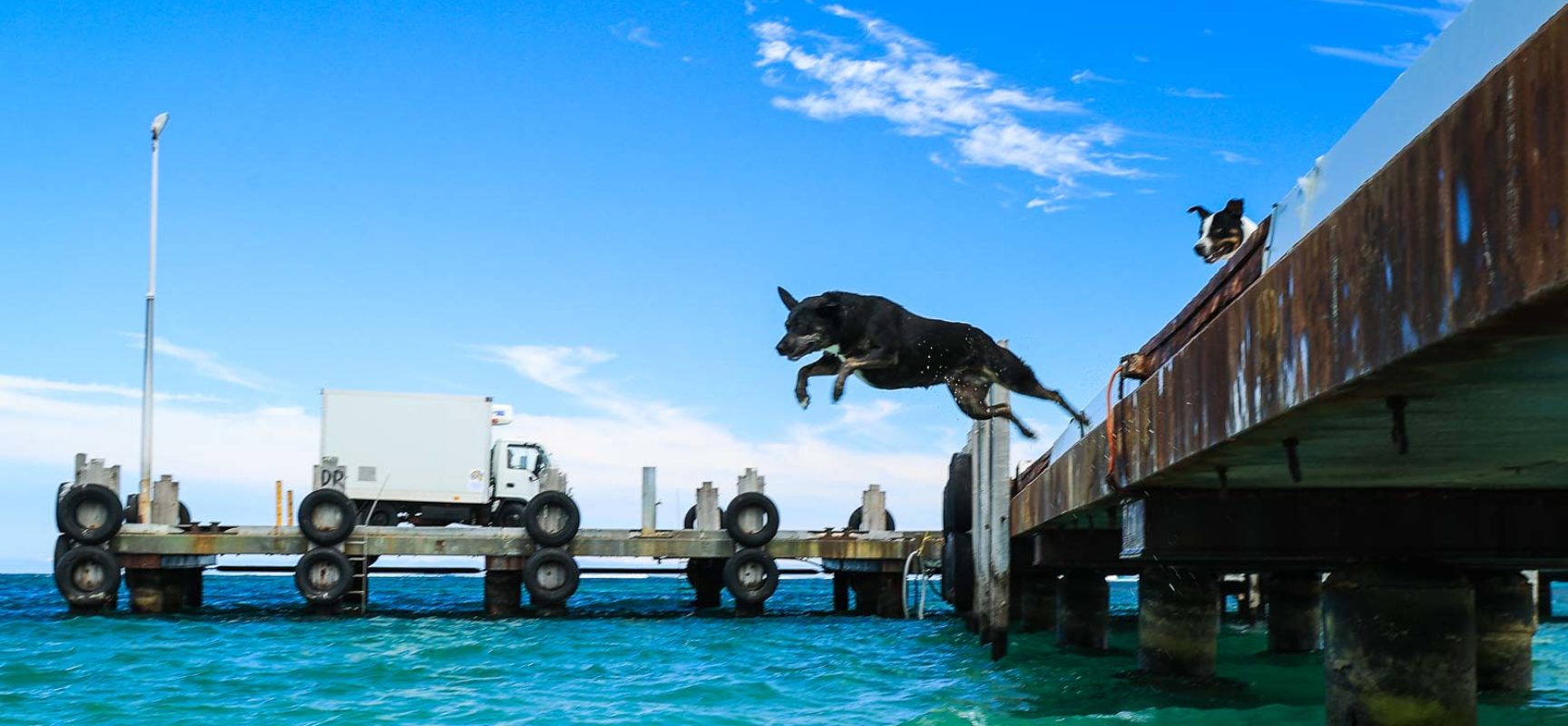 JOYFUL JETTY JUMPER