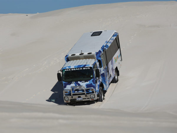 4wd-sand-dunes-tours-2